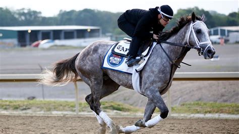 belmont stakes placings